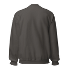 BIRTHDAY BOY men’s sweatshirt - - - Printoo Shop