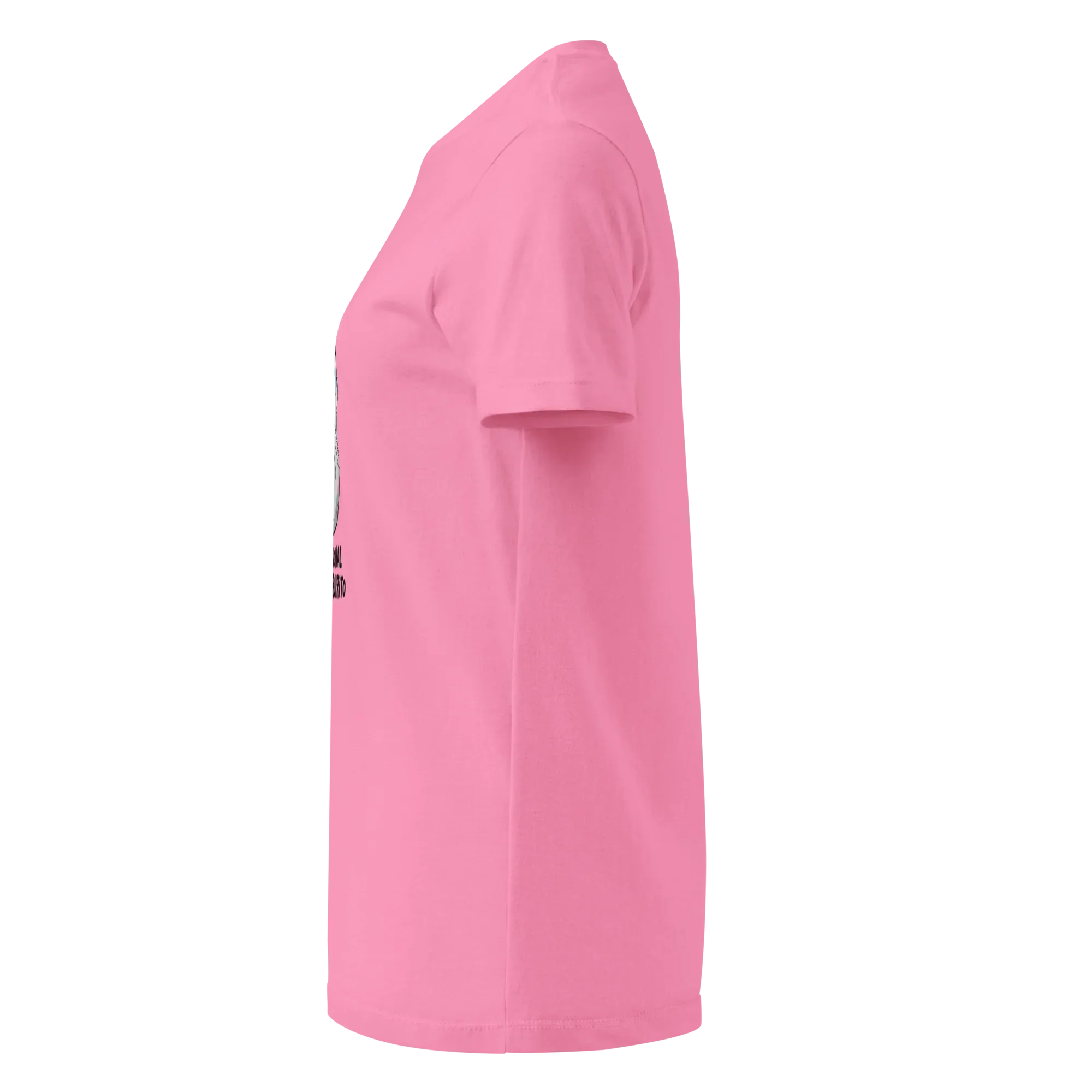 PROFESSIONAL BLANKET BURRITO women’s t-shirt - Heliconia / S - Printoo Shop - 4858127_22177