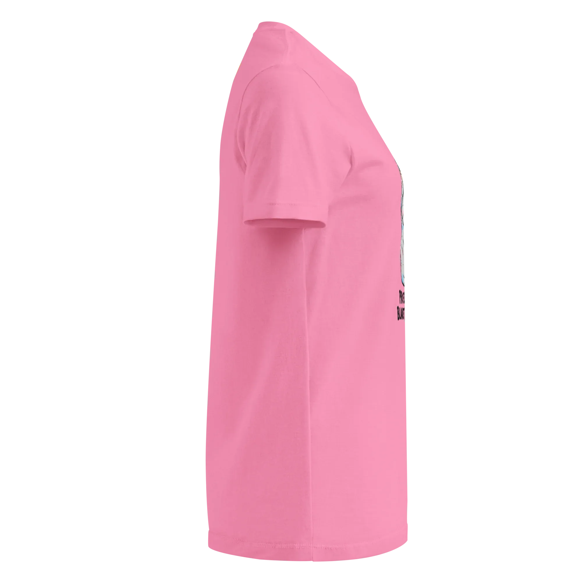 PROFESSIONAL BLANKET BURRITO women’s t-shirt - Heliconia / S - Printoo Shop - 4858127_22177