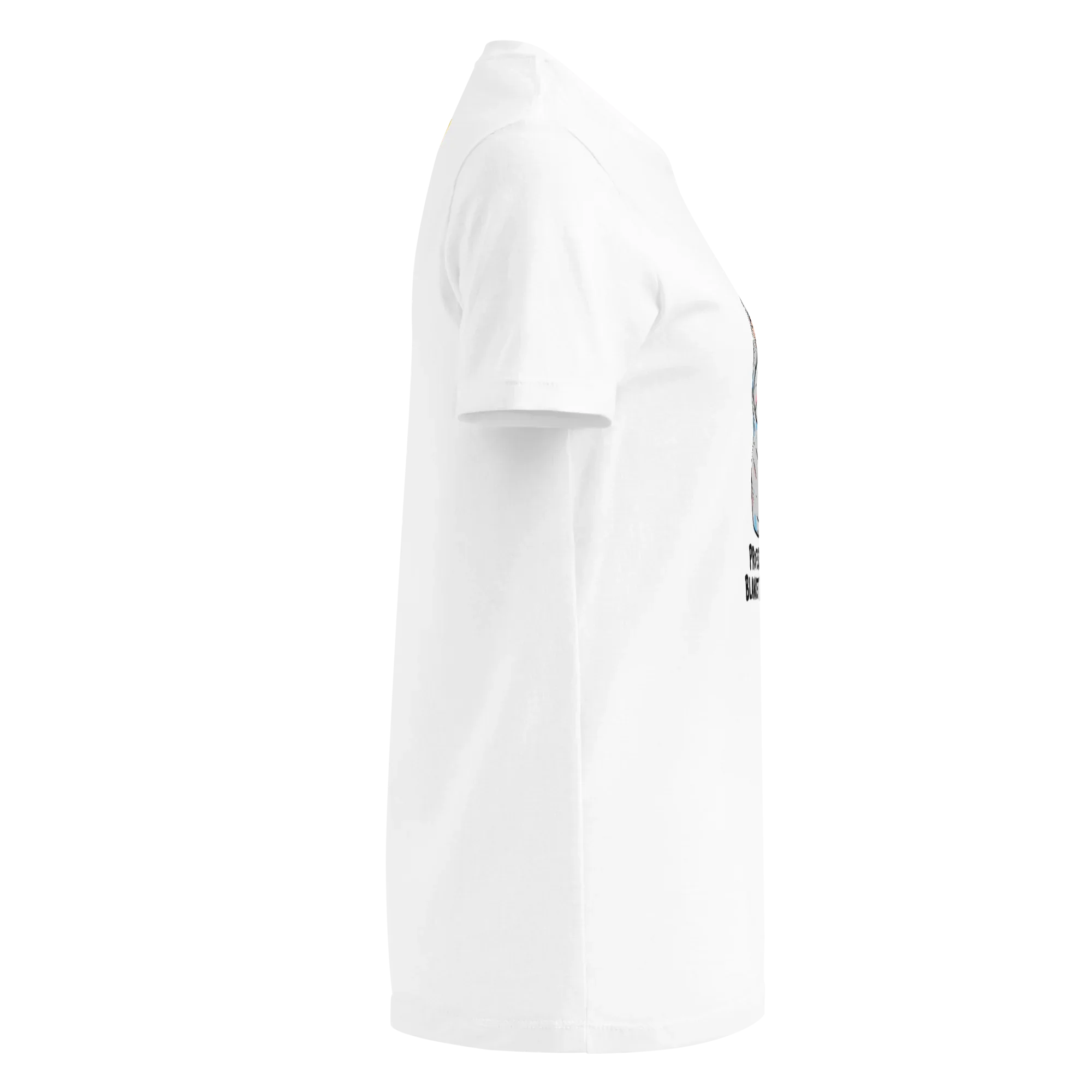 PROFESSIONAL BLANKET BURRITO women’s t-shirt - Heliconia / S - Printoo Shop - 4858127_22177